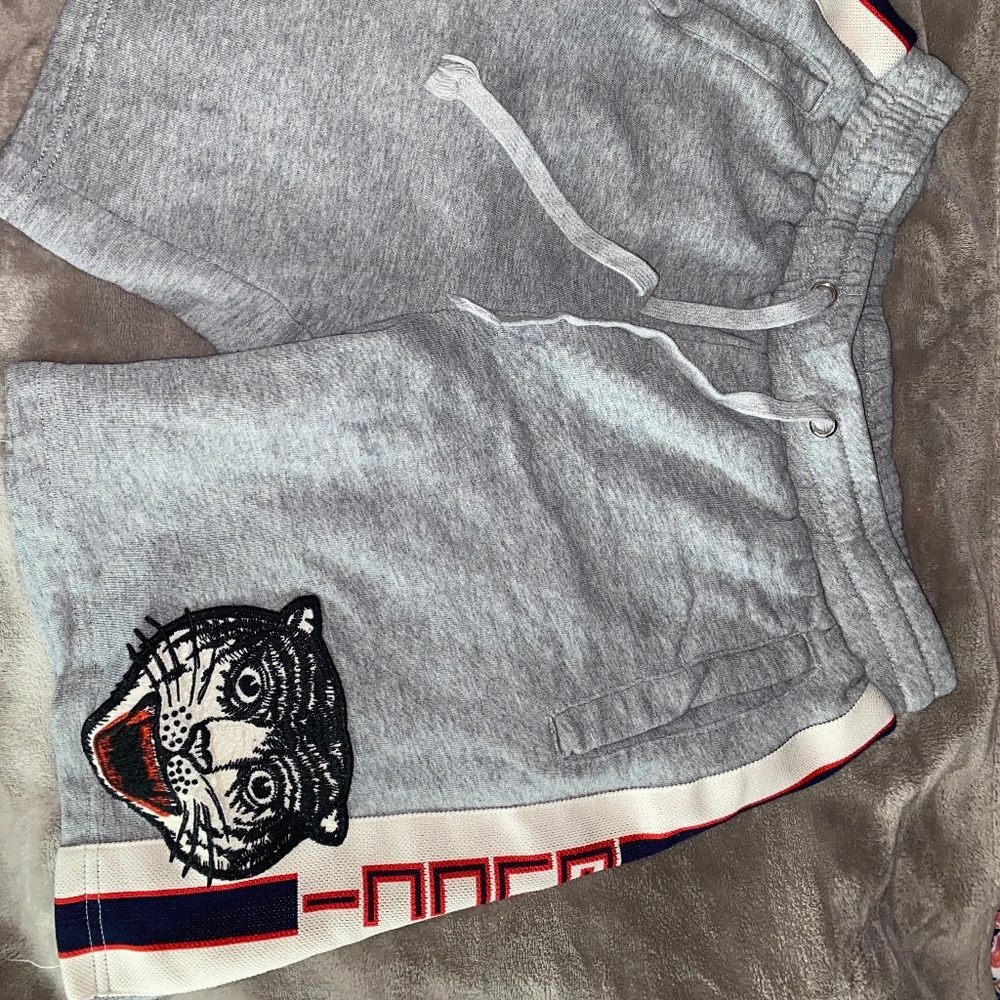 Gray Angry Cat Gucci shorts